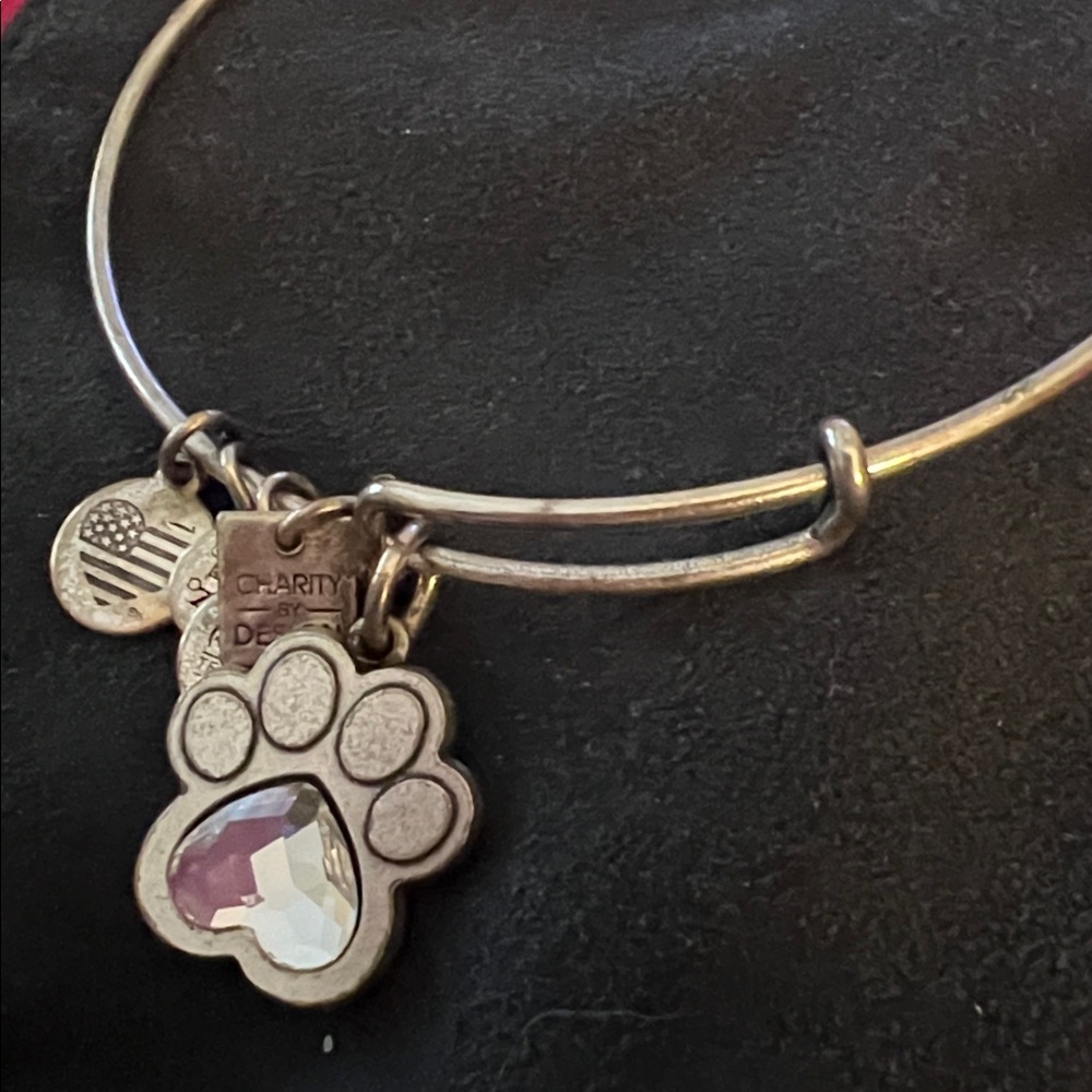 Alex and Ani Paw Prints of Love Bracelet - Picture 6 of 7